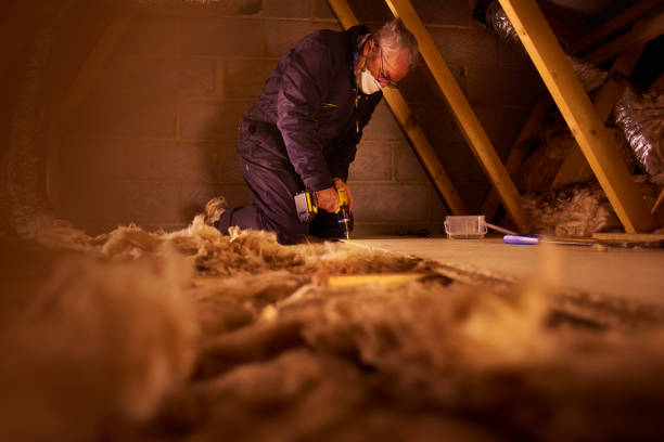 Best Insulation Maintenance and Repair in Martinez, GA